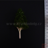 Strom POP 10-12cm, tmavě zelený