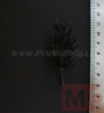 Stromový základ hnědý, 6-8cm