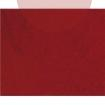 Kartonová deska A4, 250g, imitace kůže červená