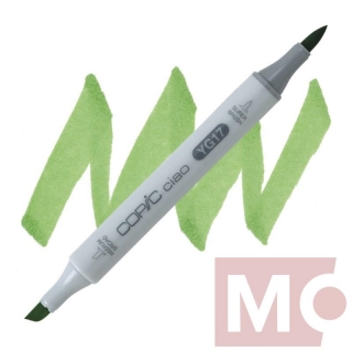 YG17 Grass green COPIC Ciao